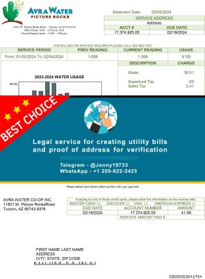 Arizona Fake Utility bill template