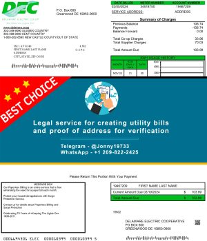 Delaware Fake Utility bill template