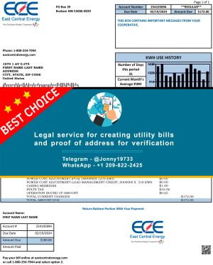 Minnesota Fake Utility bill template