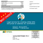 New York Fake Utility bill template