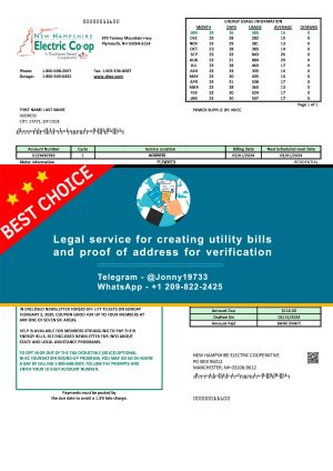 New Hampshire Fake Utility bill template