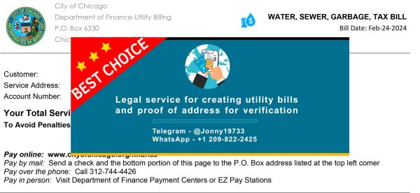 Illinois Fake Utility bill template