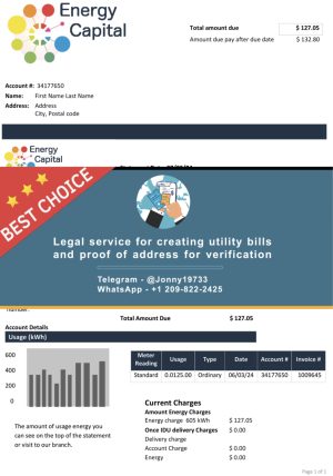 Chile Fake Utility bill template