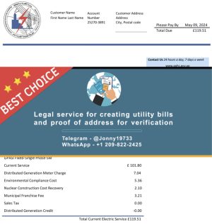 Egypt Fake Utility bill template