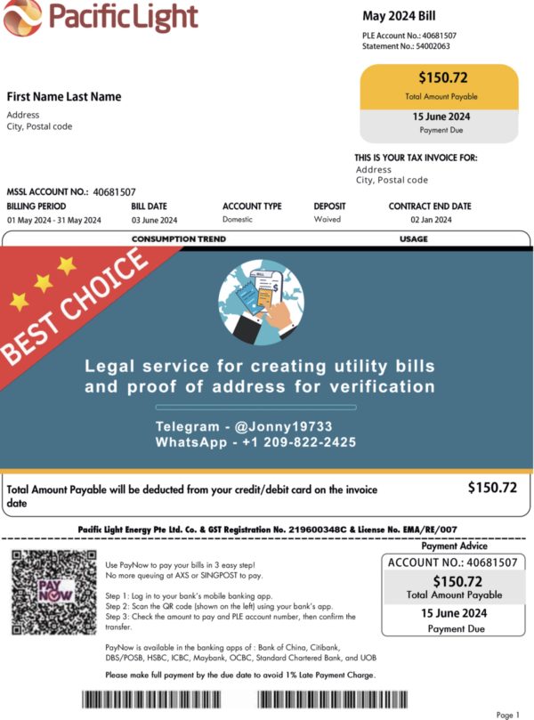 Singapore Fake Utility bill template