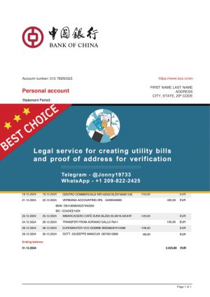 China Fake Utility bill template